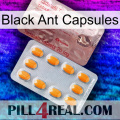 Black Ant Capsules new13